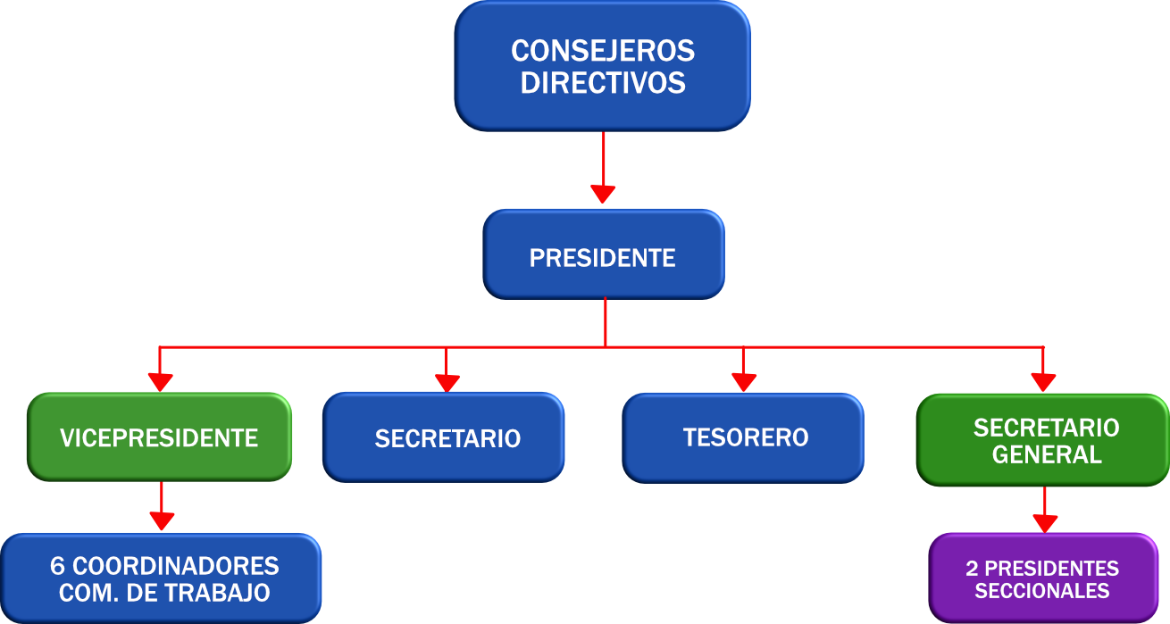 Cargos principales en el Colegio Nacional de Jueces de Paz